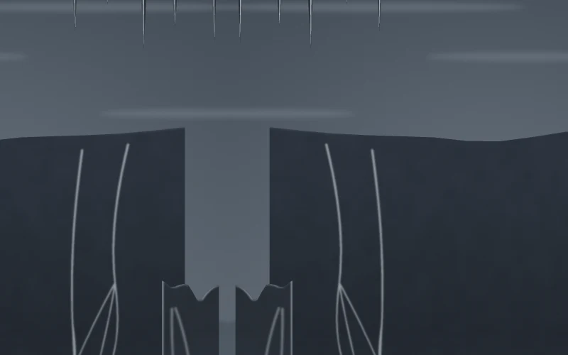El glaciar de la morsa
