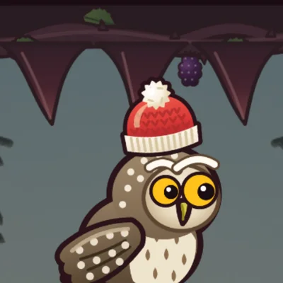 Gorro de lana